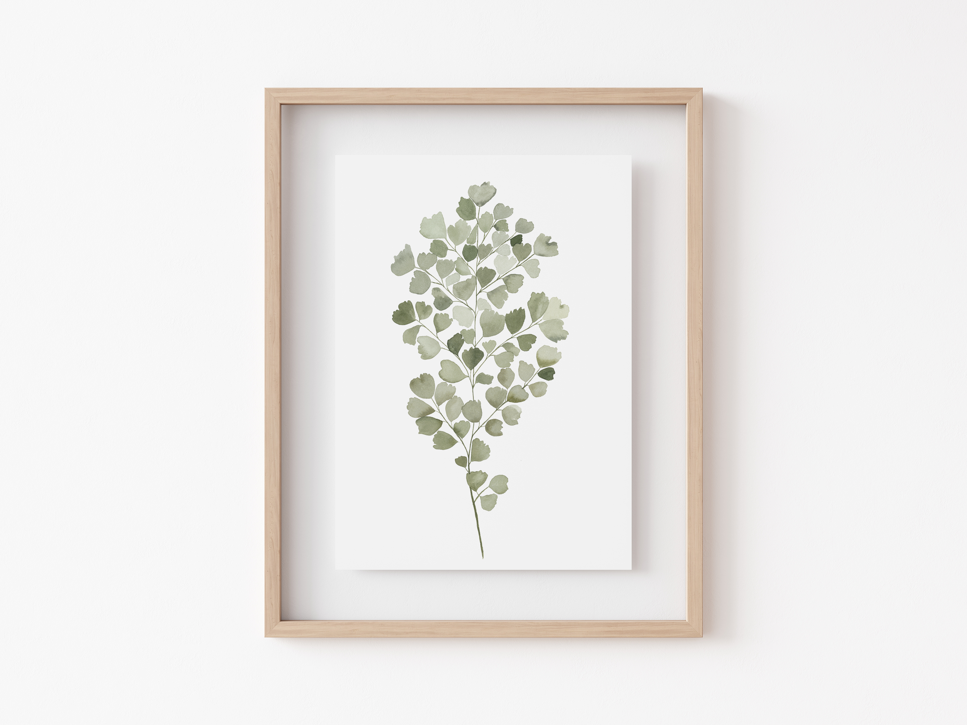 Maidenhair Fern Art Print