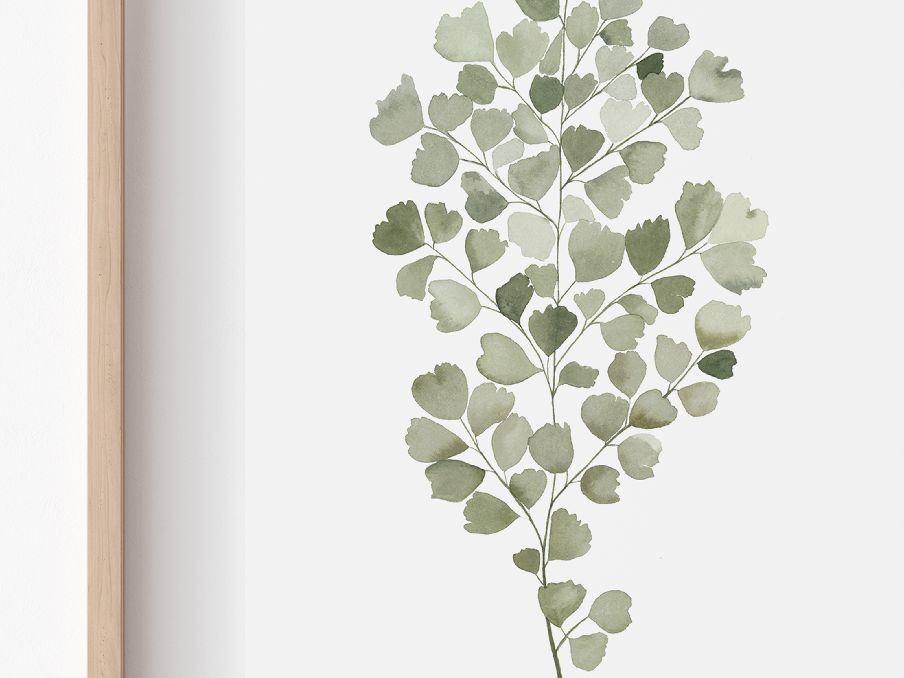 Maidenhair Fern Art Print