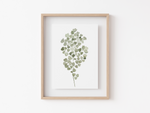 Load image into Gallery viewer, Maidenhair Fern Art Print
