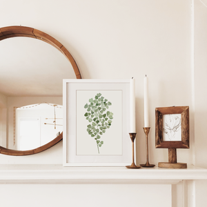 Maidenhair Fern Art Print